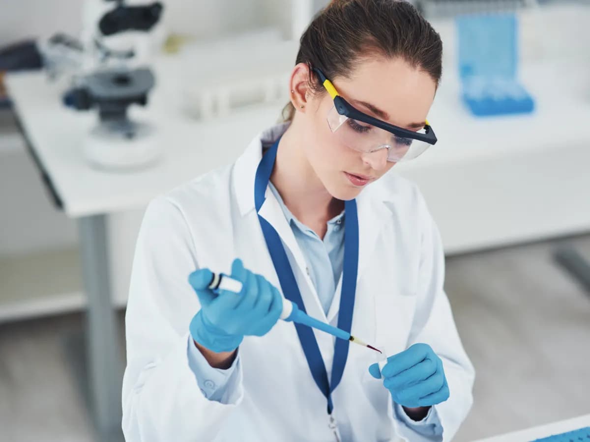 Karrier lehetőségek a Bálint Analitikánál