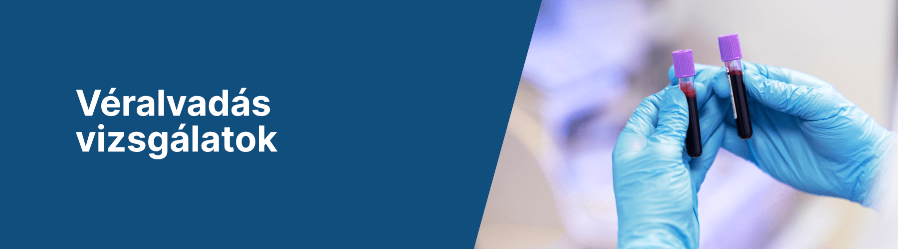 Banner kép