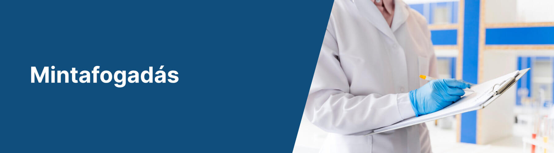Banner kép
